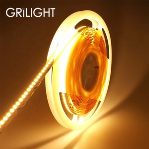 24V Pcb Chiều Rộng 10Mm 240 Leds Mỗi Mét Smd 3528 Dải Led Đơn - Product Image 6