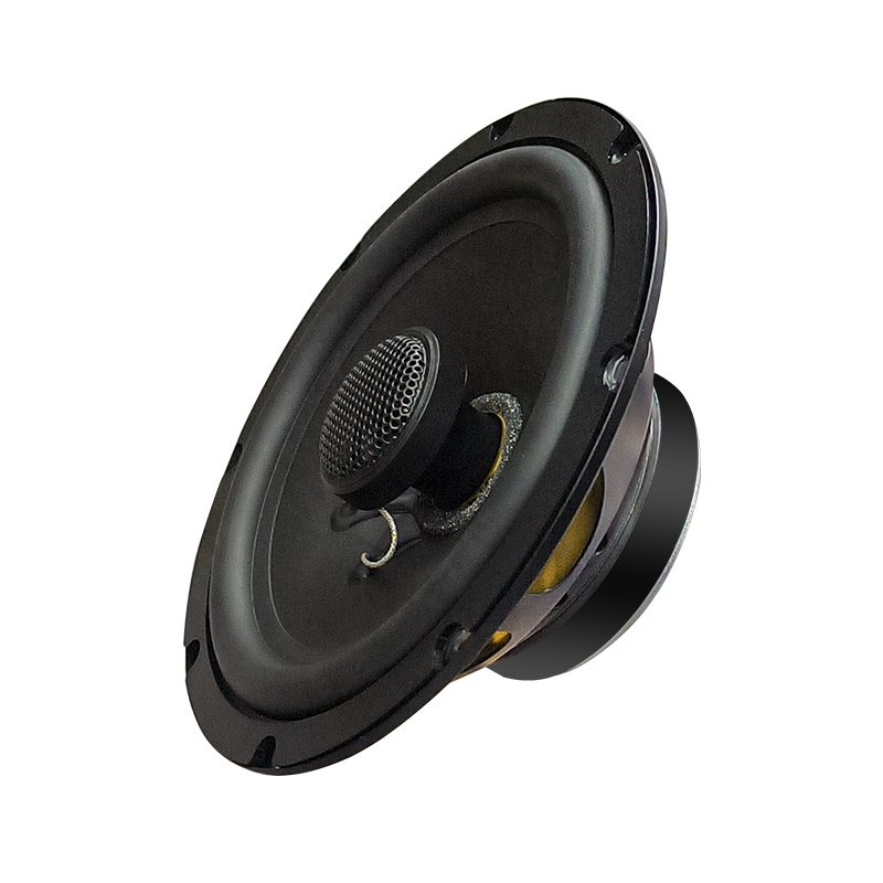 Akozon Boîte De Haut-parleur De Voiture 8 Pouces Sous Le Siège Subwoofer Amplificateur De