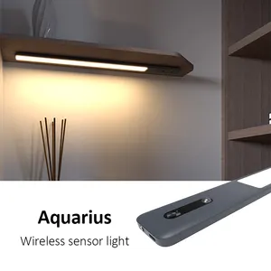 Censor For Kitchen Magnet Rechargeable Bed Lamp Usb Battery Mirror Lx Cabinet Motion Night Plug Cabient Led Sensor Light