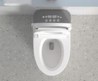 Salle de bain automatique Offre Spéciale Réservoir d'eau dissimulé haut de gamme Toilette intelligente intelligente Toilette électrique à chasse automatique