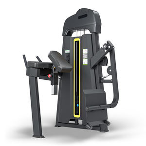 Máquina de Glúteos Selectorizada para Gimnasio, Máquina de Flexiones de Espalda, Suministrada Directamente de Fábrica - Product Image 4