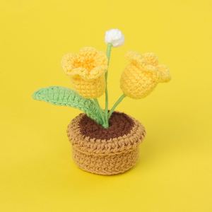 <b>Beginner</b> Crochet Potted Flower <b>Kit</b> for Adults DIY Crochet with English Instructions for Christmas Halloween Easter Occasions - Product Image 6
