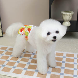 Celana sanitasi anjing peliharaan, celana keamanan Teddy, celana menstruasi untuk anjing Perempuan periode fisiologis dengan pola buah - Product Image 2