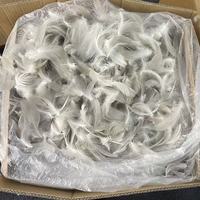 Plumes de canard blanc en gros, plumes de canard de différentes tailles pour la fabrication de mouches artificielles, mouches humides, mouches Spey, leurres pour saumon et truite