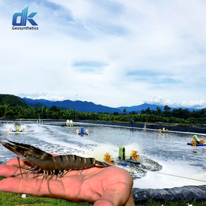 Géomembrane imperméable anti-infiltration lisse en polyéthylène vierge haute densité de 0,5 mm pour bassin, étang, ferme piscicole, aquaculture - Product Image 2