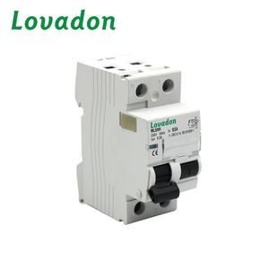 LML50H 2 <span class=keywords><strong>P</strong></span> di Alta quantità automatico di circuito In Miniatura dell'interruttore - Product Image 3