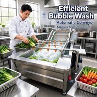 Commerciële luchtbelwasmachine voor groenten en vis, industriële fruitreiniger 2000kg/uur, ozonwasser