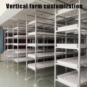 Kustomisasi pertanian hidroponik tumbuh rak vertikal dalam ruangan pertanian untuk menanam selada