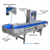 ORME Fruit Sorteermachine Appelsorteermachine Kipversegarnalen Vis Gewicht- en Maat sorteermachine
