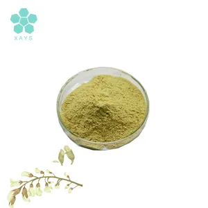 Natural Sophora Japonica Extract 98% Pure Quercetin Powder Quercetin Capsules