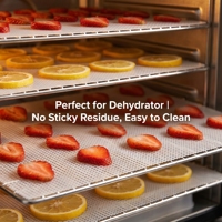 Tapis de déshydratation en silicone de qualité supérieure, antiadhésifs, en maille, pour séchage de fruits, qualité alimentaire FDA, doublure de panier vapeur, vente en gros usine