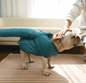 Sac de séchage pour animaux de compagnie et vêtements de séchage pour chiens et chats - Fournitures de séchage des poils après le bain, vente en gros - Product Image 5