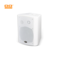 QQCHINAPA Vente chaude WiFi Haut-parleur mural portable Système audio pour la maison, magasin, école