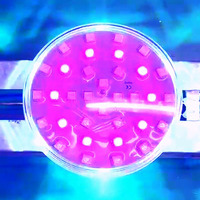 Projecteur LED RGBW automatique 100 mm pour extérieur, indice de protection IP65, pour carnaval, fête foraine, manèges de parc d'attractions, éclairage de spectacle, lampe PC
