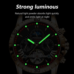NUOVO POEDAGAR 1410 <span class=keywords><strong>Orologi</strong></span> da <span class=keywords><strong>Uomo</strong></span> <span class=keywords><strong>Automatici</strong></span> in <span class=keywords><strong>Acciaio</strong></span> Inossidabile Luminosi Impermeabili Meccanici - Product Image 3