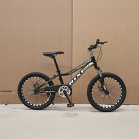 Vélo de montagne tout-terrain 20 pouces à vitesse unique, cadre en acier, frein à disque, amortisseur avant, vélo VTT, fourniture d'usine
