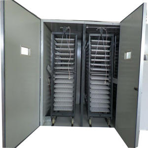 Yüksek Kaliteli Otomatik Kuluçka Makinesi ve Kümes Hayvancılığı için Özelleştirilebilir Boyutlarda Yumurta Çıkarma Makineleri - Product Image 1