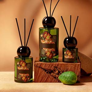 Diffuseur de parfum en verre personnalisable de 50 ml, 110 ml, 200 ml, huile essentielle, parfum sans flamme, cadeau, parfum longue durée, diffuseur de parfum à bâtonnets - Product Image 1