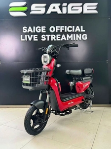 Motocicleta Urbana YG3 SAIGE, Batería de Plomo-Ácido de 48V 12AH, Nueva, 630W, 40km/h, Carga de 165KG, Autonomía de 40-60KM, 6 Tubos - Product Image 3