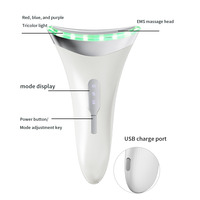 Appareil de beauté électrique à micro-courant pour lifting facial à usage domestique Appareil de massage facial électrique à micro-courant pour le cou pour les soins personnels