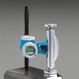 Endress + Hauser 6 inci Area variabel Flowmeter Air Flowmeter/80E1F/83E1F IP67/IP69 316L OEM dukungan disesuaikan - Product Image 3