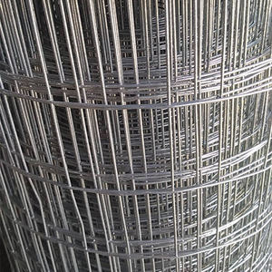 Alambre de Acero Galvanizado en Rollo Hecho en China, Peso del Rollo de 10-200 kg, para Procesamiento Continuo - Product Image 3