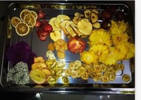 Voedseldroogmachine Voedseldroger 10 Trays Roestvrijstalen Mini Voedseldehydrator