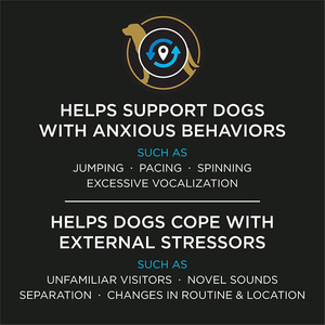 مكملات بيطرية OEM: مسحوق بروبيوتيك مهدئ للكلاب عالي البروتين لصحة الجهاز الهضمي وتخفيف القلق - Product Image 2