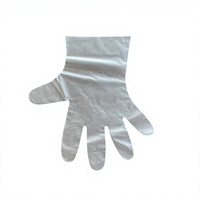 Gants jetables en plastique PE transparent pour usage domestique, prix d'usine, vente en gros, avec HDPE personnalisé