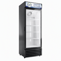 Réfrigérateur commercial vertical à porte vitrée pour boissons, congélateur, refroidisseur à porte simple