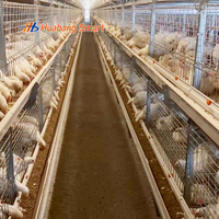 Système de cages à poulets automatiques à 3 niveaux galvanisé à chaud avec alimentation par chaîne pour équipement d'élevage avicole