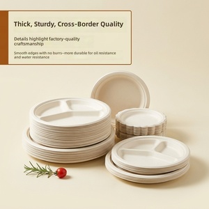 Assiettes jetables biodégradables en pulpe <span class=keywords><strong>de</strong></span> canne à sucre, plateaux à gâteau d'anniversaire pour barbecue, assiettes à dîner en canne à sucre - Product Image 2