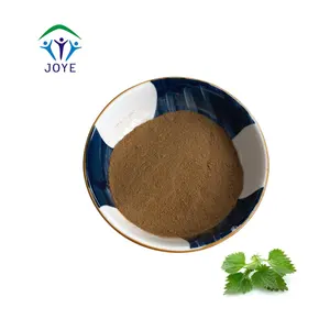 Best Selling Product nettle root extract 10:1 95%/extract nettle/stinging nettle powder