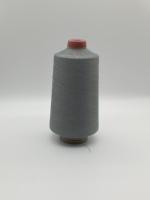 Fil à teindre en nylon 100 % confortable, anti-boulochage, haute résistance, fil DTY 24F pour chaussettes tricotées à la main et tissage