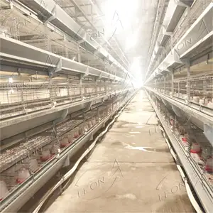 Factory Price Easy Installation H Type Galvanized Broiler Chicken Cage For Poultry