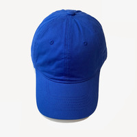 Casquettes de baseball en coton délavé avec logo personnalisé, ensemble de 19 pièces pour hommes et femmes, casquette à six panneaux, style streetwear vintage, ajustable, nouveau style