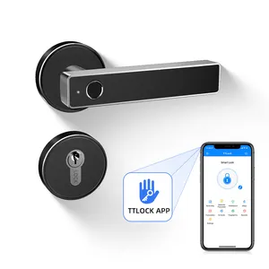 Smart Anti Theft Latches Split Wireless Remote Control Biometric Fingerprint Lever Magnetic Door Handle Lock