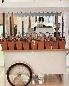 Stand de Exhibición Móvil Personalizado de Alta Gama para Promoción de Productos, Fabricante, Venta al Por Mayor - Product Image 3