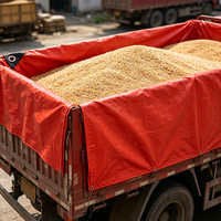 Bâche en polyéthylène rouge 100% PE avec traitement anti-UV pour l'agriculture en serre et la plantation