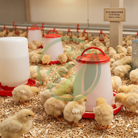 Nouvel abreuvoir automatique en PVC pour volailles, capacité de 1,5 à 16 L, économie d'eau, protection de l'environnement, installation facile pour