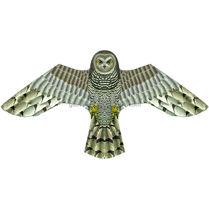 Nouveau <span class=keywords><strong>cerf</strong></span>-<span class=keywords><strong>volant</strong></span> <span class=keywords><strong>anti</strong></span>-oiseau hibou patten pour répulsif de contrôle des <span class=keywords><strong>oiseaux</strong></span> de l'usine de <span class=keywords><strong>cerf</strong></span>-<span class=keywords><strong>volant</strong></span> avec poteau - Product Image 3