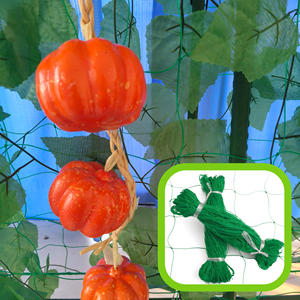 고품질 HDPE PP 메쉬 18cm*18cm 크기 2*100m 정원 콩망 식물 지지망 농업용 - Product Image 5