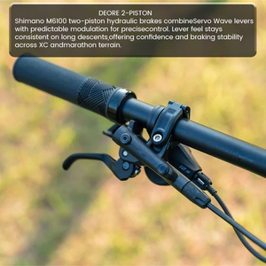 Vélo de montagne XC en carbone de 29 pouces, suspension intégrale, <span class=keywords><strong>VTT</strong></span> 12 vitesses, suspension pneumatique, vélo de <span class=keywords><strong>cross</strong></span>-<span class=keywords><strong>country</strong></span> - Product Image 5