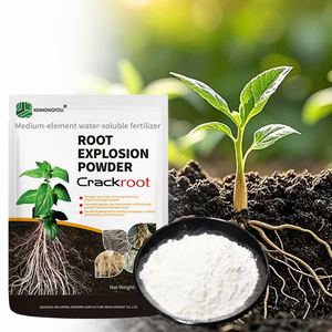 צנוטה חזק אבקת שורש מהירה פיצוץ שורש אורגני דשן - Product Image 1