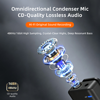 Microfono Lavalier Wireless a Doppio Canale con Schermo LCD, Memoria Interna da 4GB, Logo Personalizzabile per Creator di YouTube e TikTok