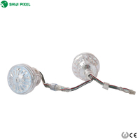 Lampes LED à pixels RVBW intelligentes programmables SHIJI DC24V 60mm UCS7604, 65536 niveaux de gris, adressables, type cabochon