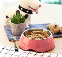 Gamelle stable pour chiot avec support patte – Bols et mangeoires pour chiens en gros – Fabricant certifié et audité