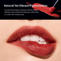 Rouge à lèvres liquide mat effet velours personnalisé avec logo, longue tenue, teinte à lèvres OEM, brillant à lèvres cosmétique, boue à lèvres mignonne