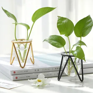 Nordic Indoor Water Verhoogd Plant Pot Stand Water Cultuur Glas Transparant Vaas Ijzer Art Haarspeld Plant Stand Decoratie