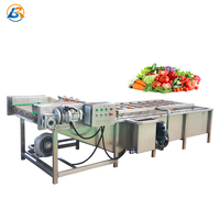 Volledige Automatische Schoon Wortel Bladgroenten Groente Asperges Wassen Verwerking Lijn/Fruit Wassen Productielijn